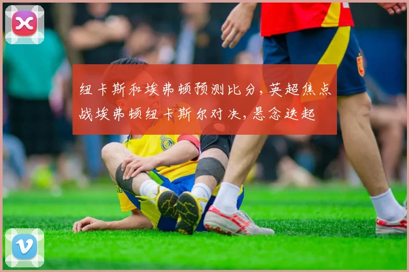 纽卡斯和埃弗顿预测比分,英超焦点战埃弗顿纽卡斯尔对决,悬念迭起